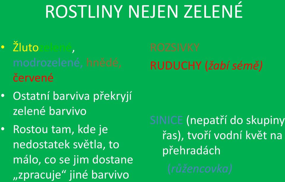 málo, co se jim dostane zpracuje jiné barvivo ROZSIVKY RUDUCHY (žabí