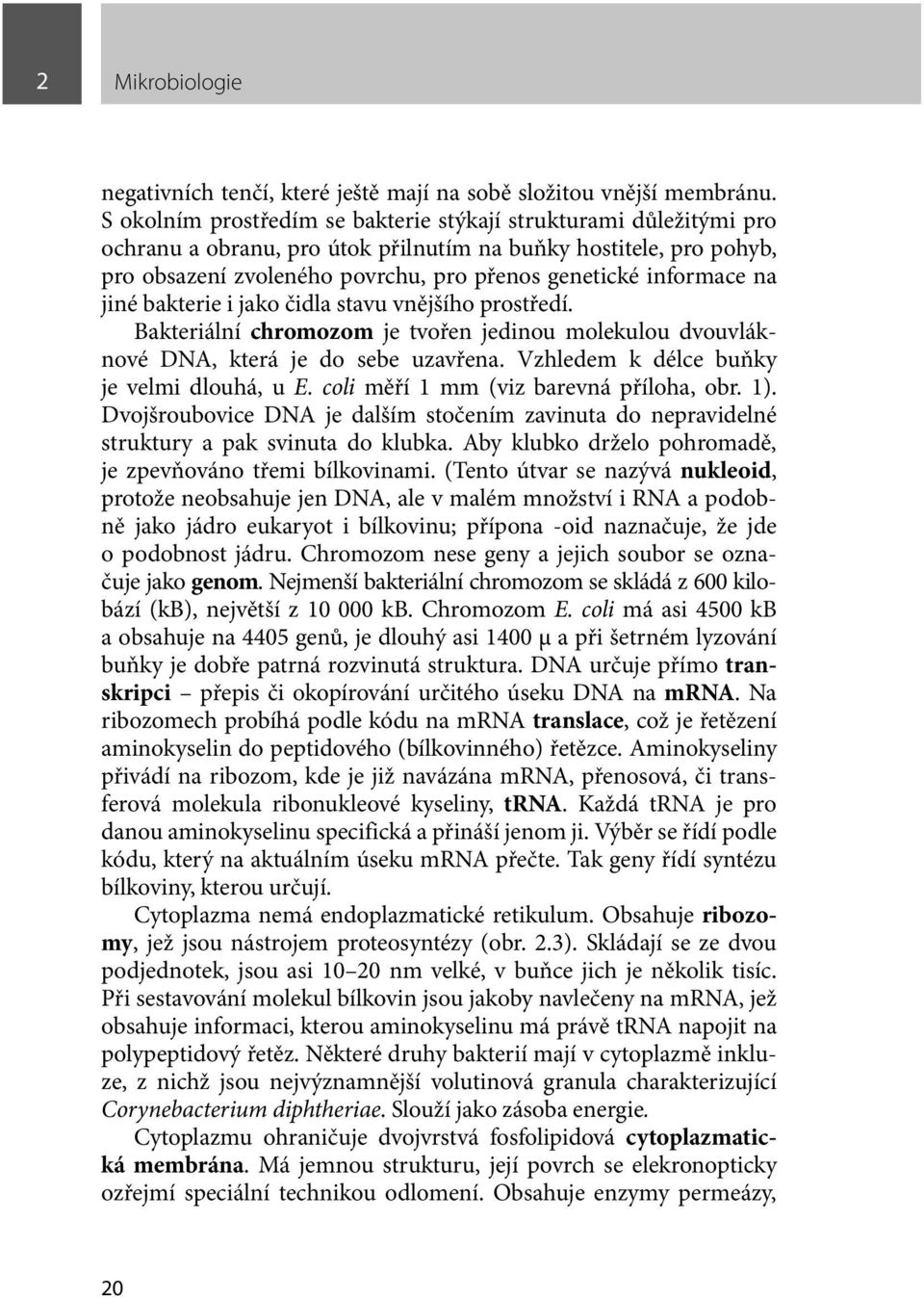 na jiné bakterie i jako čidla stavu vnějšího prostředí. Bakteriální chromozom je tvořen jedinou molekulou dvouvláknové DNA, která je do sebe uzavřena. Vzhledem k délce buňky je velmi dlouhá, u E.