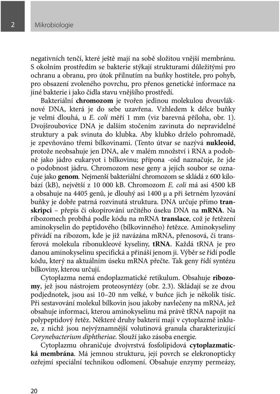 na jiné bakterie i jako čidla stavu vnějšího prostředí. Bakteriální chromozom je tvořen jedinou molekulou dvouvláknové DNA, která je do sebe uzavřena. Vzhledem k délce buňky je velmi dlouhá, u E.