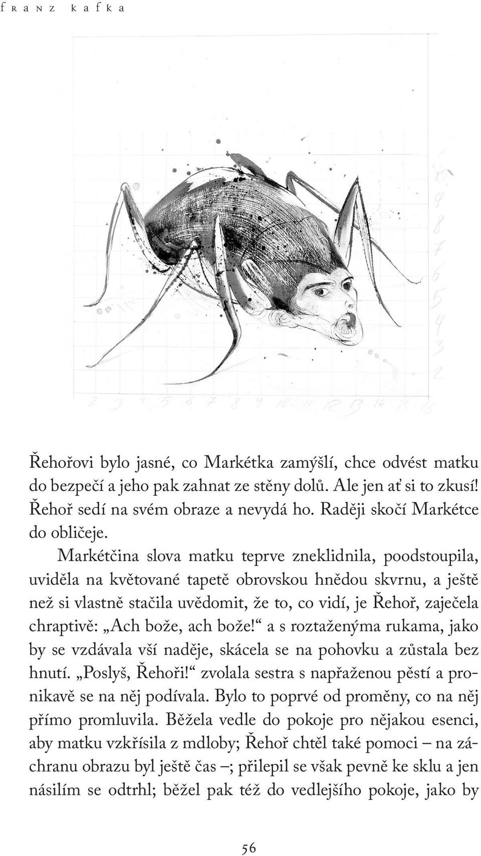 Markétčina slova matku teprve zneklidnila, poodstoupila, uviděla na květované tapetě obrovskou hnědou skvrnu, a ještě než si vlastně stačila uvědomit, že to, co vidí, je Řehoř, zaječela chraptivě: