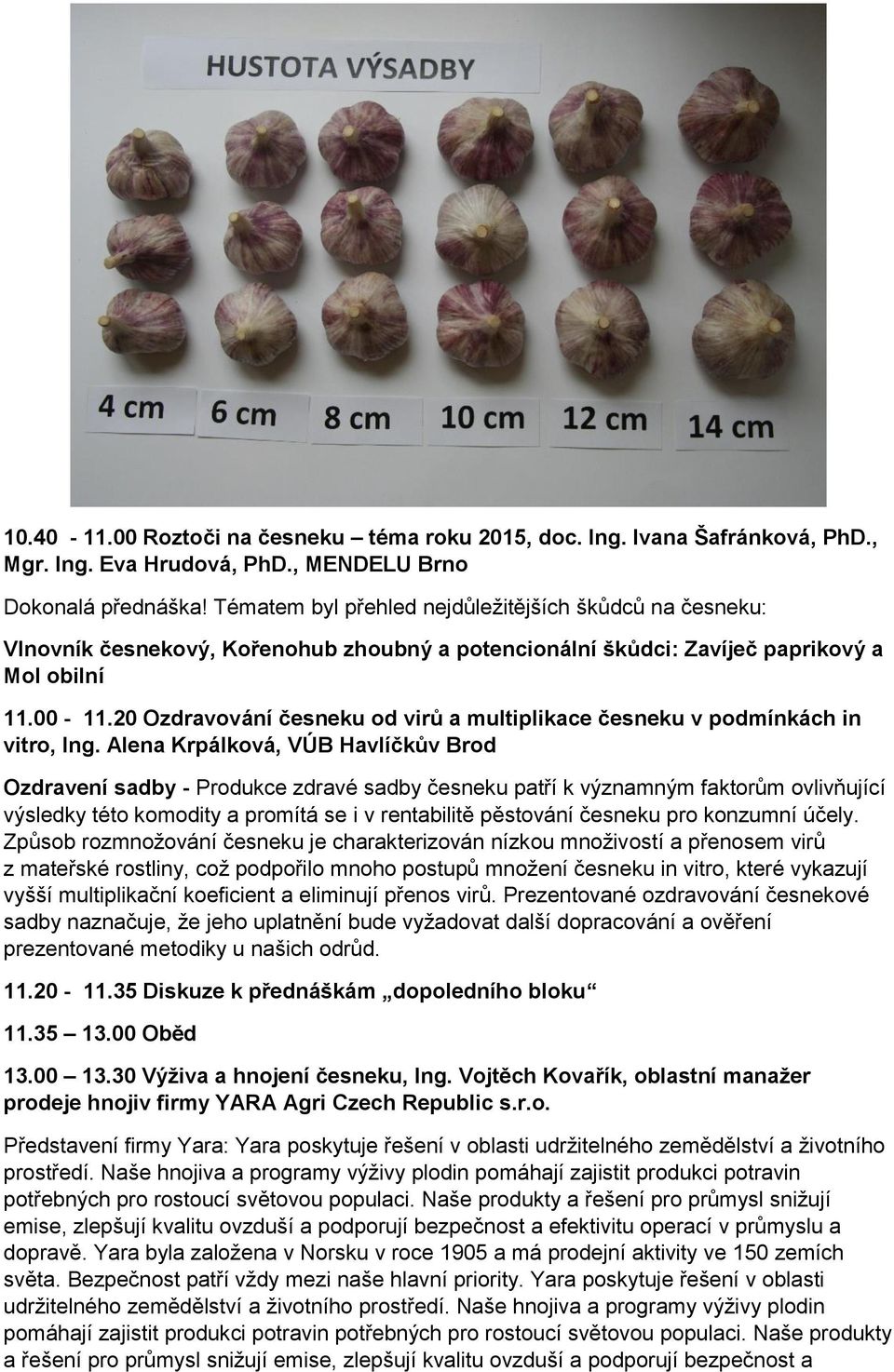 20 Ozdravování česneku od virů a multiplikace česneku v podmínkách in vitro, Ing.