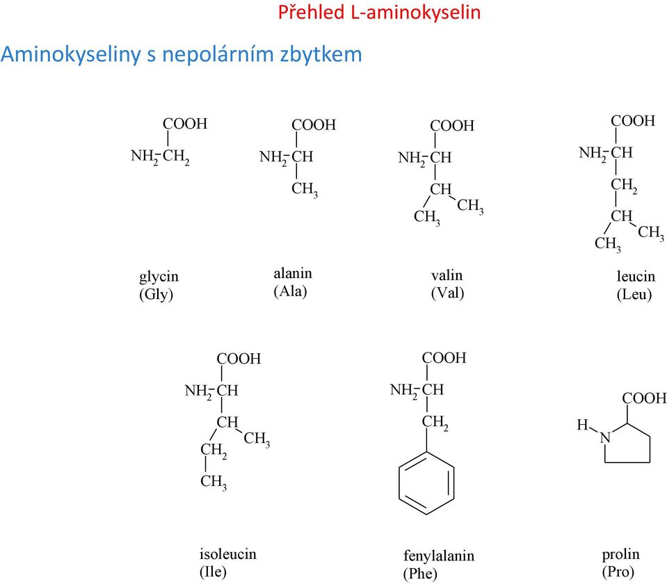 glycin (Gly) alanin (Ala) valin (Val) leucin (Leu) H H