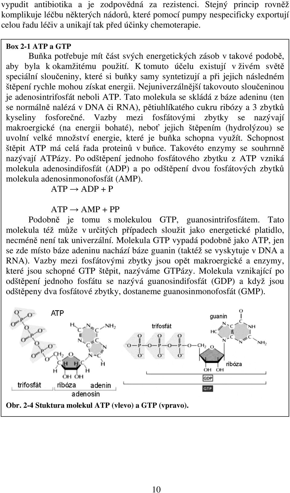 Box 2-1 ATP a GTP Buňka potřebuje mít část svých energetických zásob v takové podobě, aby byla k okamžitému použití.