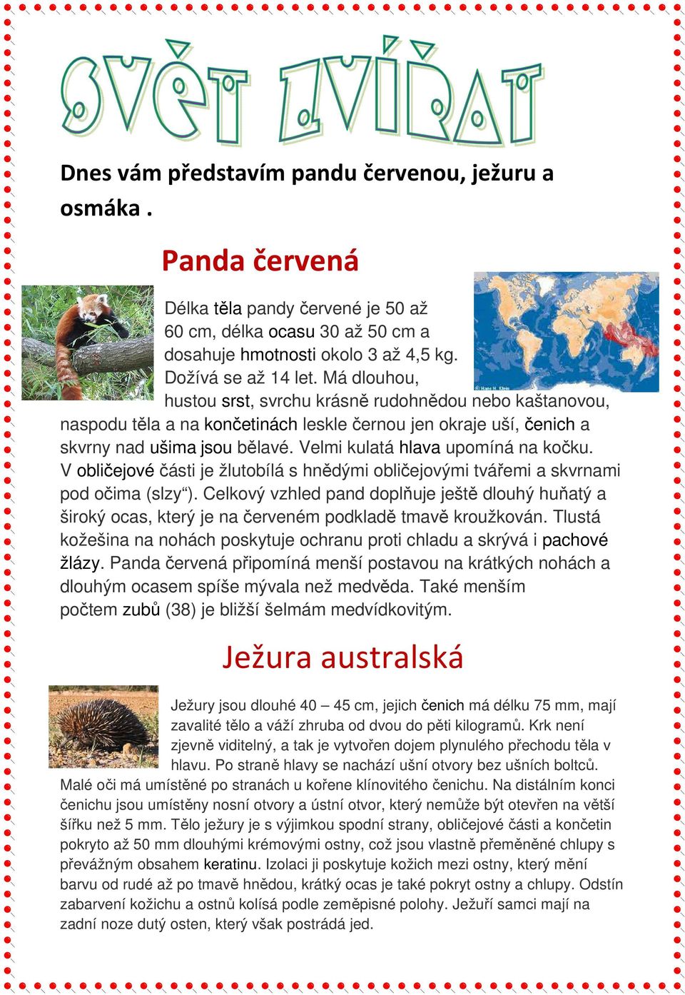Velmi kulatá hlava upomíná na kočku. V obličejové části je žlutobílá s hnědými obličejovými tvářemi a skvrnami pod očima (slzy ).