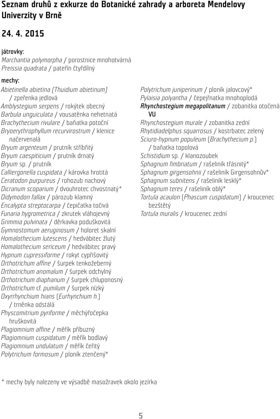 obecný Barbula unguiculata / vousatěnka nehetnatá Brachythecium rivulare / baňatka potoční Bryoerythrophyllum recurvirostrum / klenice načervenalá Bryum argenteum / prutník stříbřitý Bryum