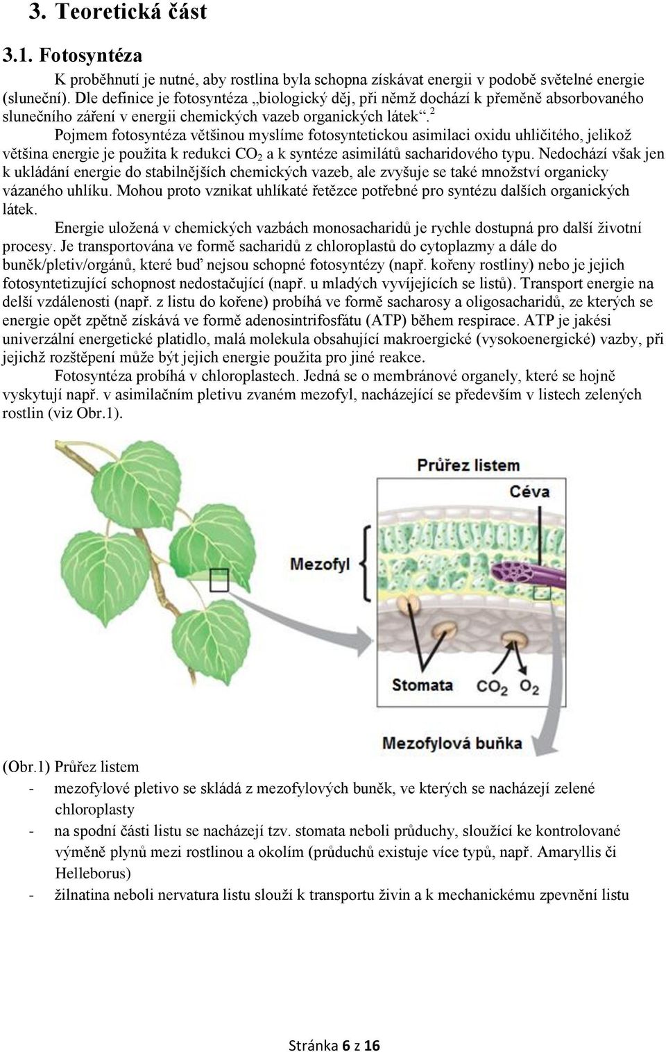 2 Pojmem fotosyntéza většinou myslíme fotosyntetickou asimilaci oxidu uhličitého, jelikož většina energie je použita k redukci CO 2 a k syntéze asimilátů sacharidového typu.