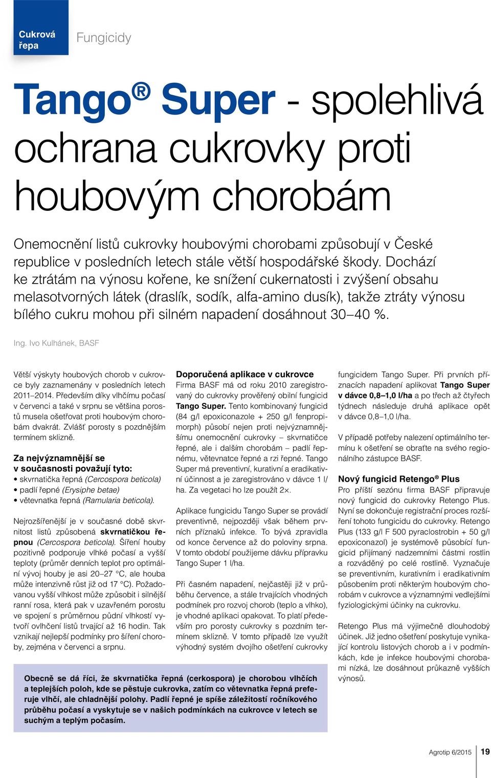 Dochází ke ztrátám na výnosu kořene, ke snížení cukernatosti i zvýšení obsahu melasotvorných látek (draslík, sodík, alfa-amino dusík), takže ztráty výnosu bílého cukru mohou při silném napadení