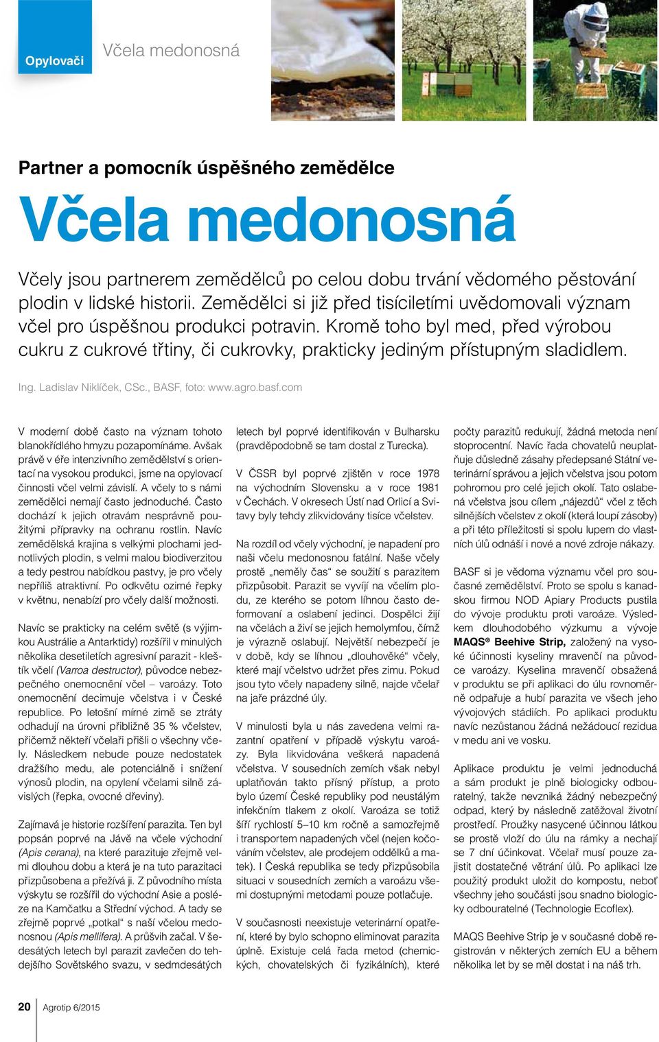 Ing. Ladislav Niklíček, CSc., BASF, foto: www.agro.basf.com V moderní době často na význam tohoto blanokřídlého hmyzu pozapomínáme.