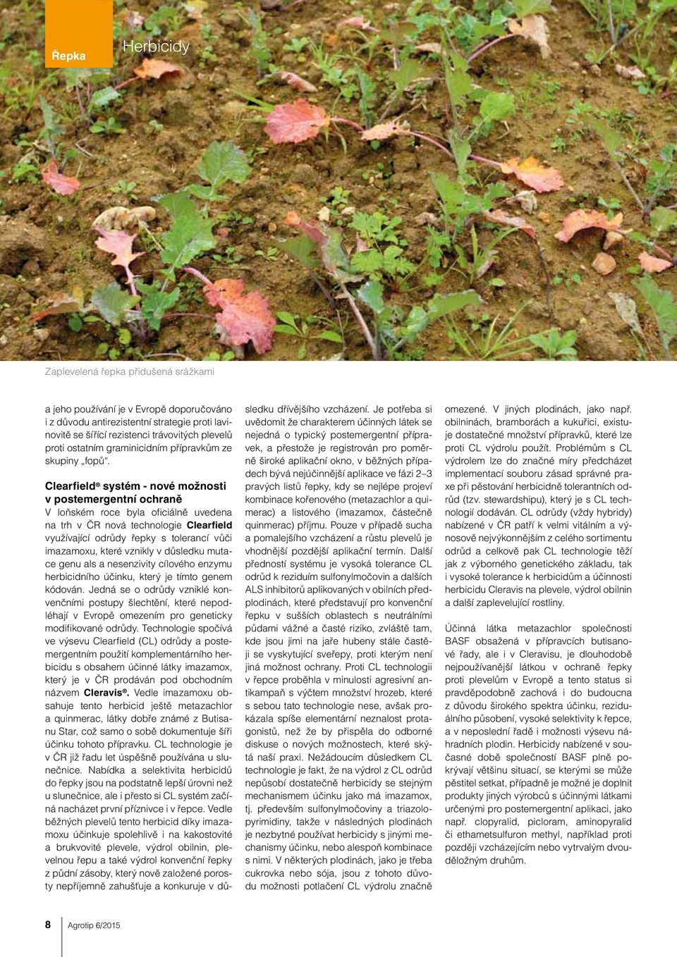 Clearfield systém - nové možnosti v postemergentní ochraně V loňském roce byla ofi ciálně uvedena na trh v ČR nová technologie Clearfield využívající odrůdy řepky s tolerancí vůči imazamoxu, které