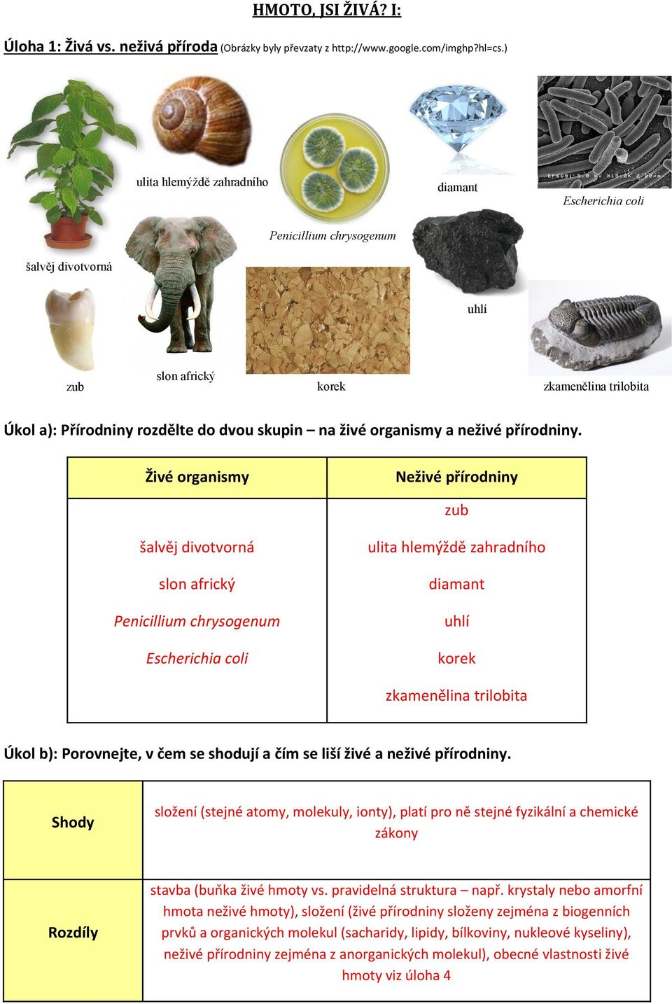 organismy a neživé přírodniny.