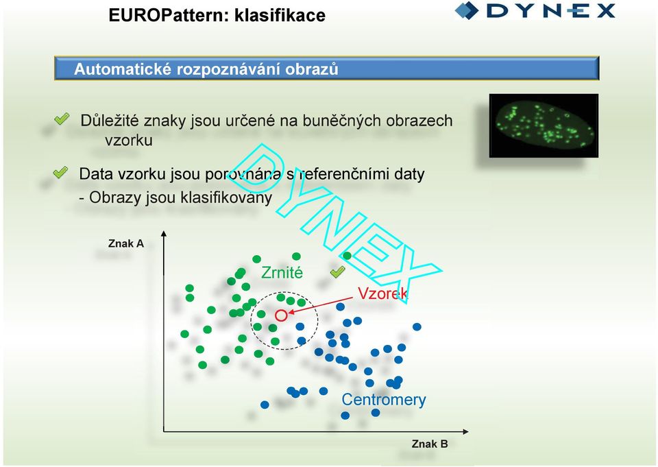 referenčními daty - Obrazy jsou