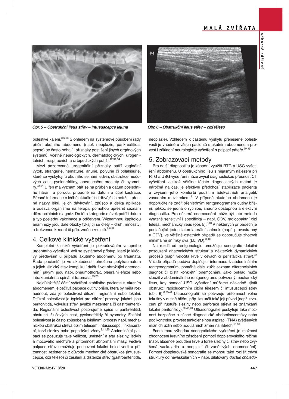 neoplazie, pankreatitida, sepse) se často odhalí i příznaky postižení jiných orgánových systémů, včetně neurologických, dermatologických, urogenitálních, respiračních a ortopedických potíží.