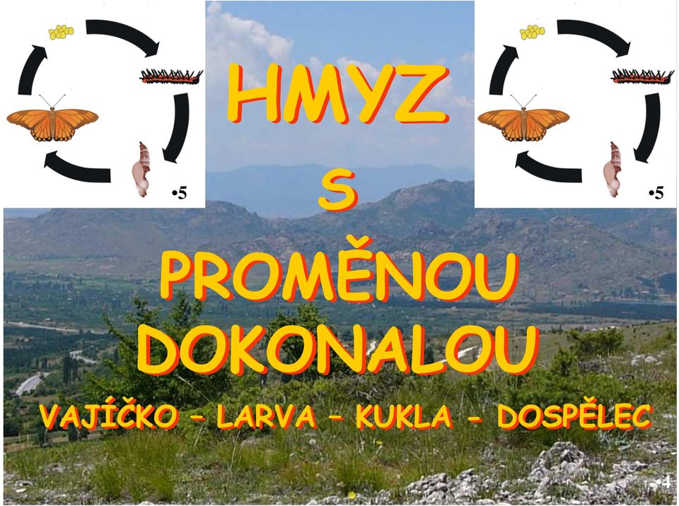 DOKONALOU