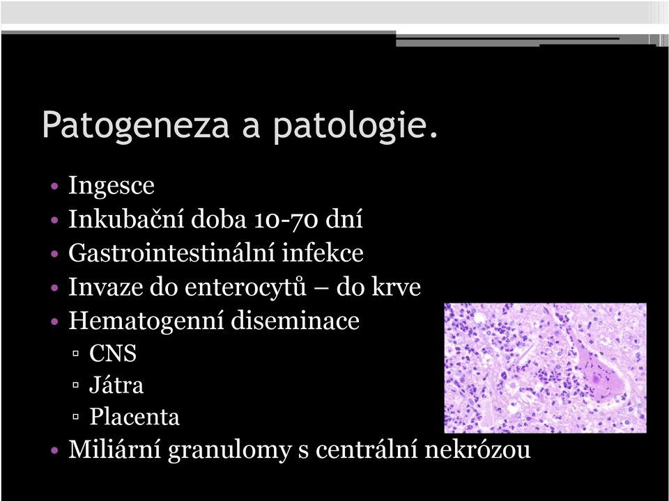 Gastrointestinální infekce Invaze do enterocytů