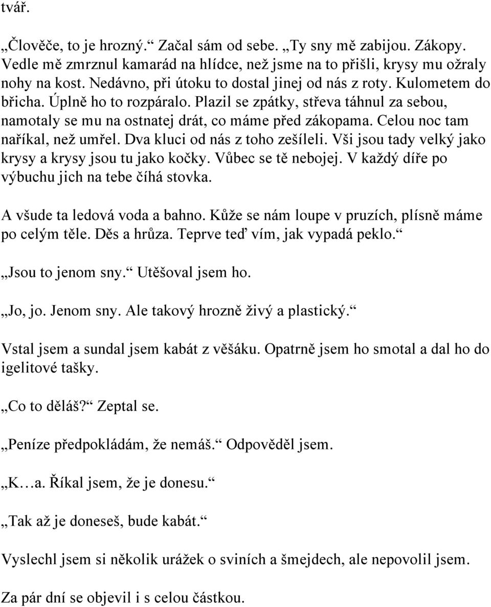 Celou noc tam naříkal, než umřel. Dva kluci od nás z toho zešíleli. Vši jsou tady velký jako krysy a krysy jsou tu jako kočky. Vůbec se tě nebojej. V každý díře po výbuchu jich na tebe číhá stovka.