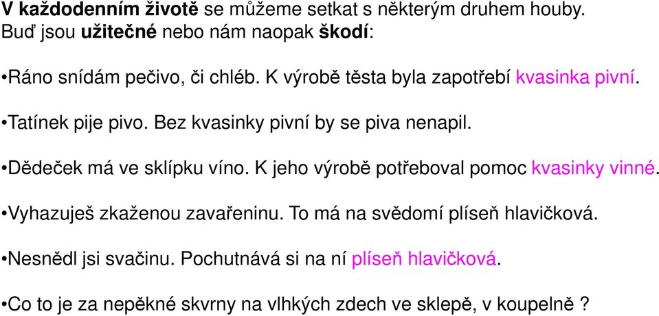 Tatínek pije pivo. Bez kvasinky pivní by se piva nenapil. Dědeček má ve sklípku víno.