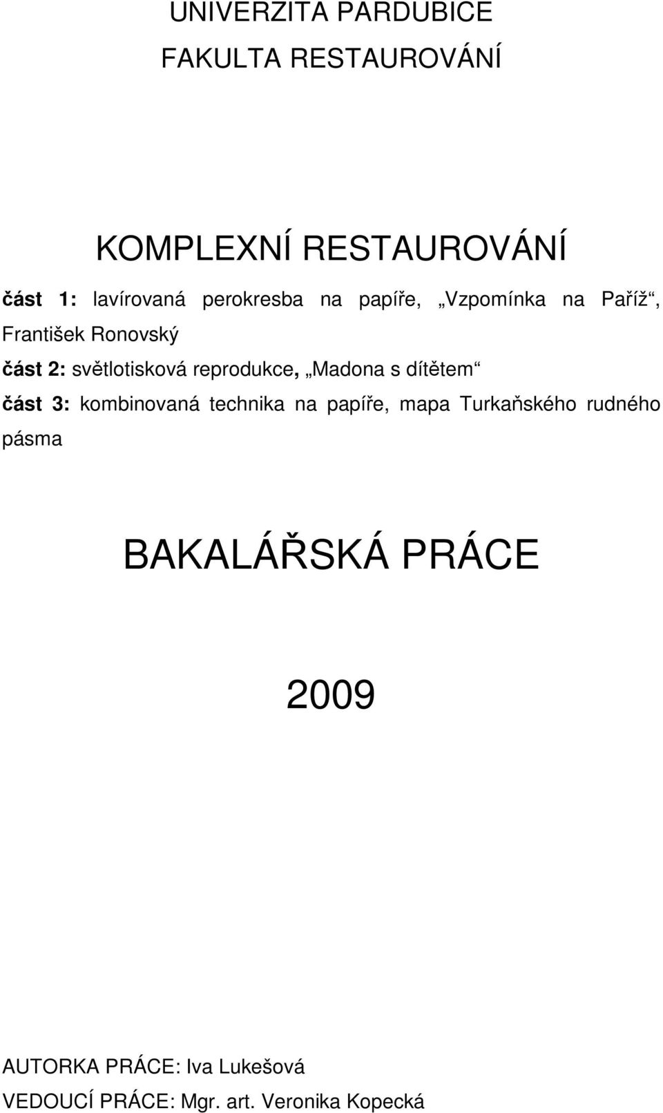 reprodukce, Madona s dítětem část 3: kombinovaná technika na papíře, mapa Turkaňského