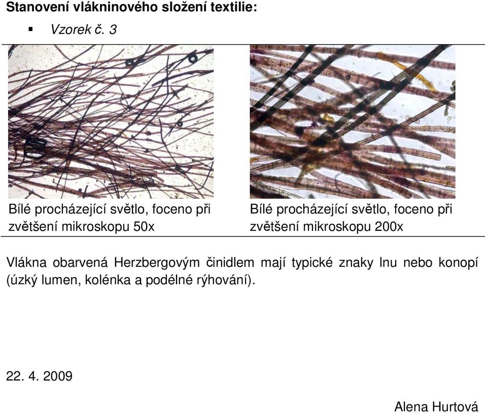 procházející světlo, foceno při zvětšení mikroskopu 200x Vlákna obarvená