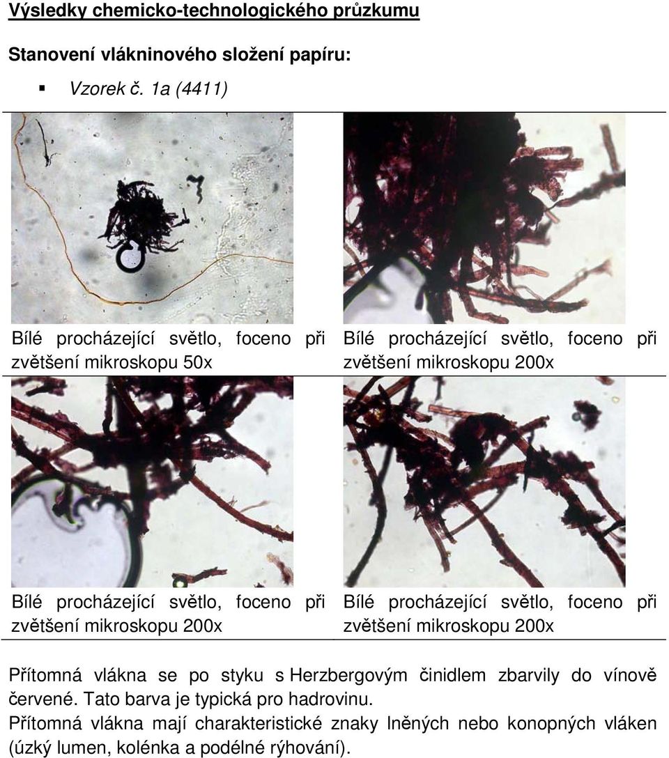 procházející světlo, foceno při zvětšení mikroskopu 200x Bílé procházející světlo, foceno při zvětšení mikroskopu 200x Přítomná vlákna se po