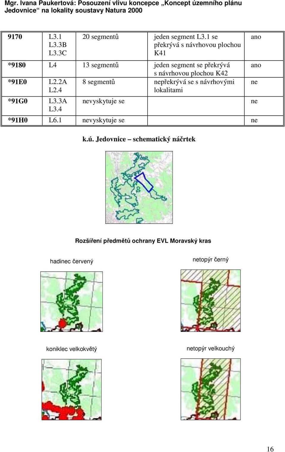 *91E0 L2.2A 8 segmentů nepřekrývá se s návrhovými L2.4 lokalitami *91G0 L3.3A L3.4 nevyskytuje se *91H0 L6.