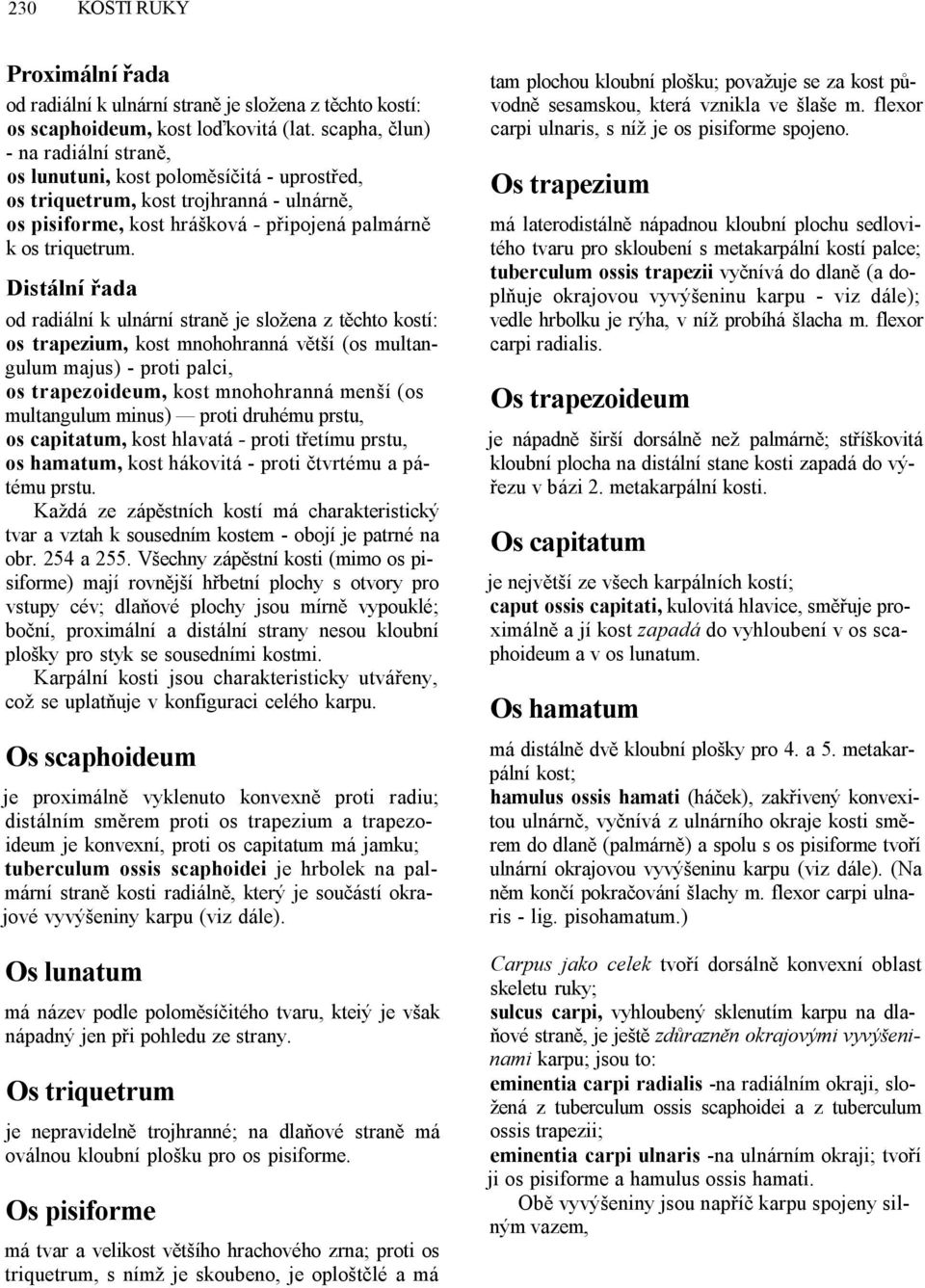 Distální řada od radiální k ulnární straně je složena z těchto kostí: os trapezium, kost mnohohranná větší (os multangulum majus) - proti palci, os trapezoideum, kost mnohohranná menší (os