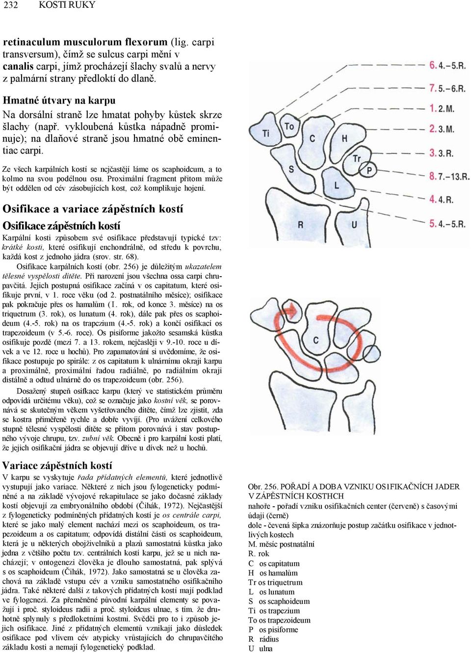 Ze všech karpálních kostí se ncjčastějí láme os scaphoidcum, a to kolmo na svou podélnou osu. Proximální fragment přitom může být oddělen od cév zásobujících kost, což komplikuje hojení.