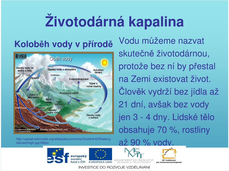 jpg/350px- Vodu můžeme nazvat skutečně životodárnou, protože bez ní by přestal na