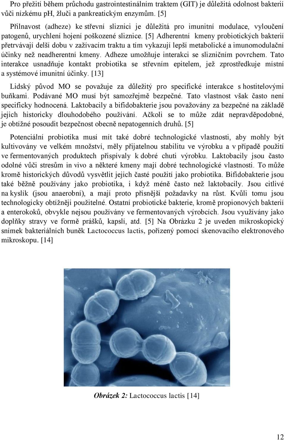 [5] Adherentní kmeny probiotických bakterií přetrvávají delší dobu v zažívacím traktu a tím vykazují lepší metabolické a imunomodulační účinky než neadherentní kmeny.