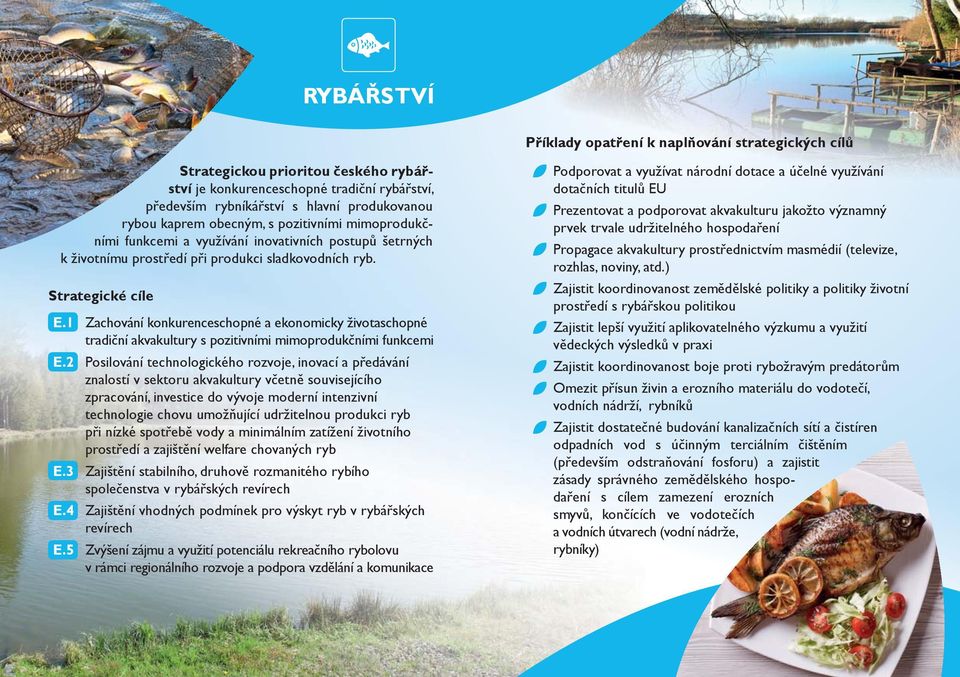 1 Zachování konkurenceschopné a ekonomicky životaschopné tradiční akvakultury s pozitivními mimoprodukčními funkcemi E.