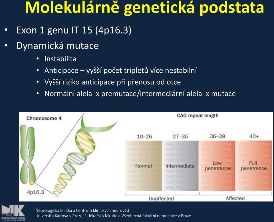 tripletů více nestabilní Vyšší riziko anticipace při