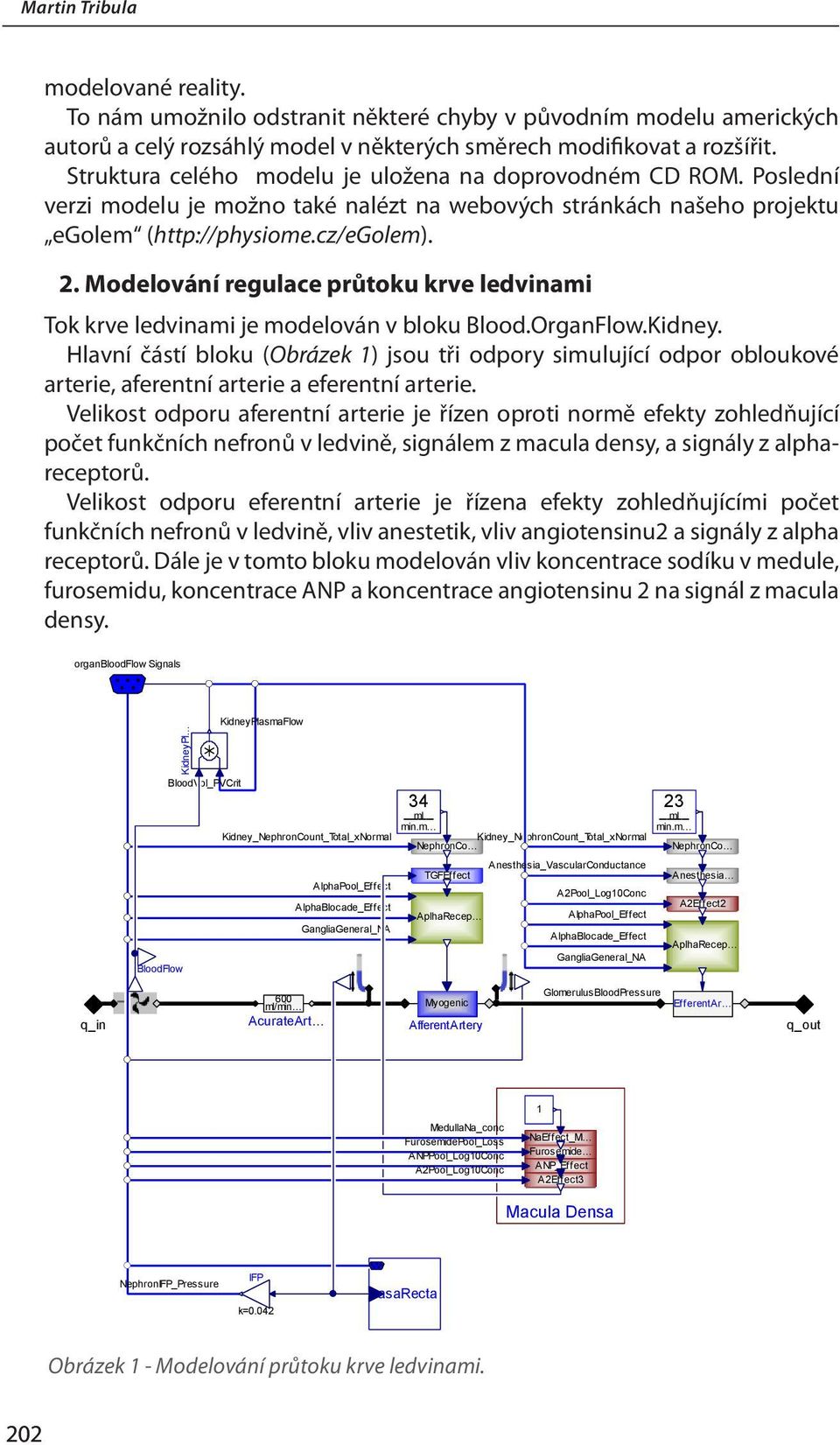 Modelování regulace průtoku krve ledvinami Tok krve ledvinami je modelován v bloku Blood.OrganFlow.Kidney.