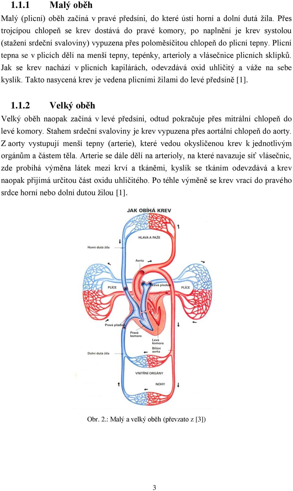 Plicní tepna se v plicích dělí na menší tepny, tepénky, arterioly a vlásečnice plicních sklípků. Jak se krev nachází v plicních kapilárách, odevzdává oxid uhličitý a váţe na sebe kyslík.