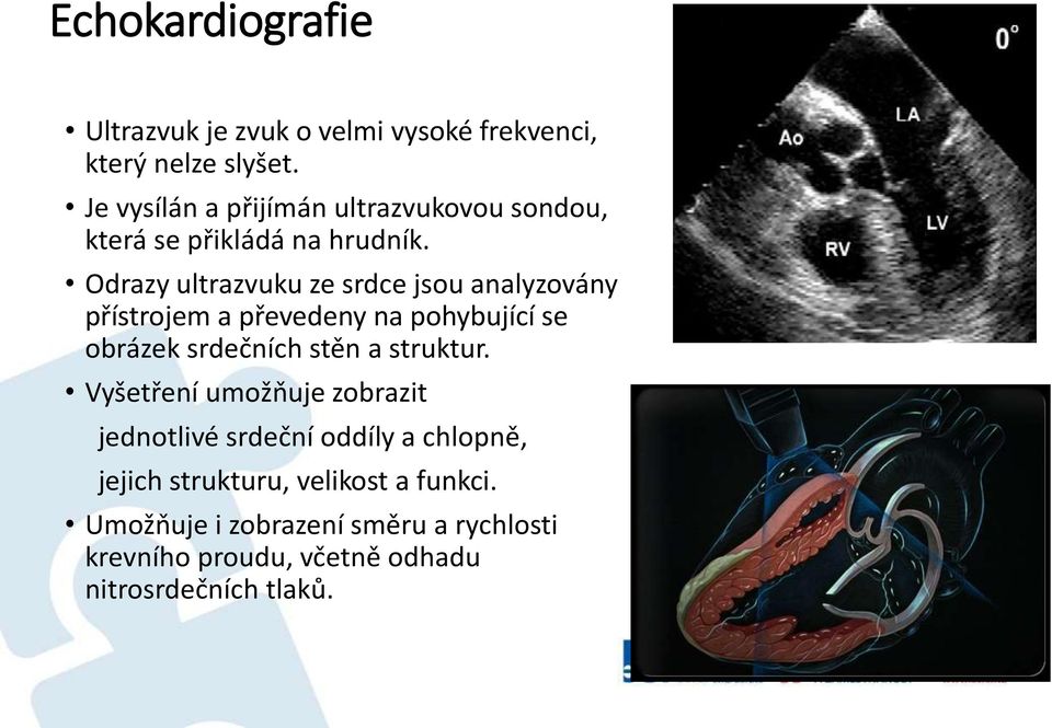 Odrazy ultrazvuku ze srdce jsou analyzovány přístrojem a převedeny na pohybující se obrázek srdečních stěn a