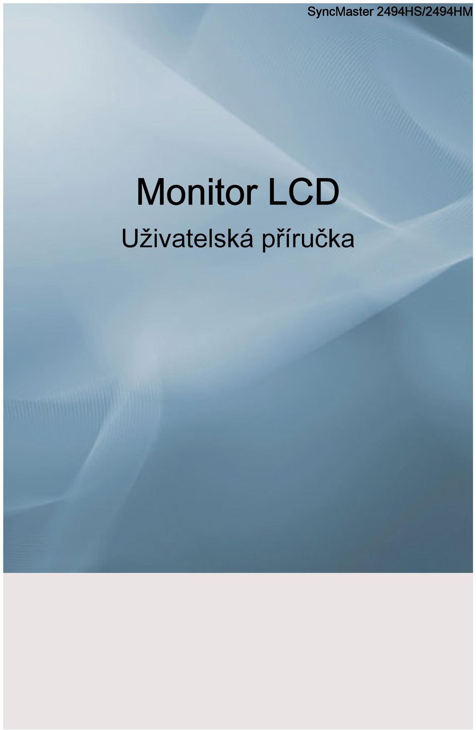 Monitor LCD