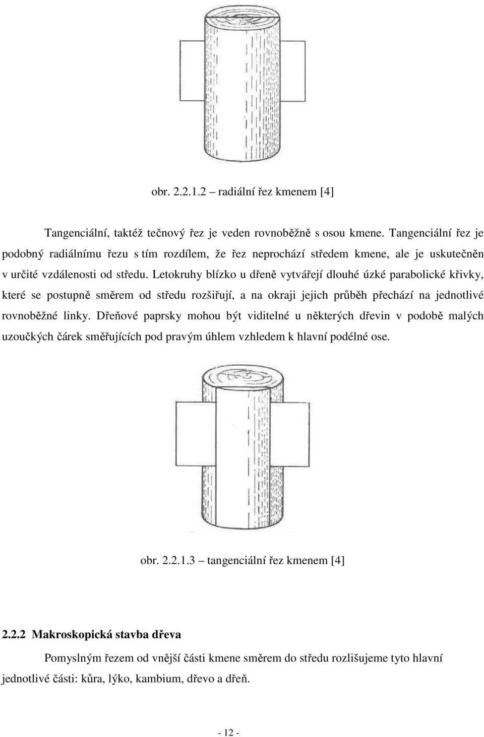 Letokruhy blízko u dřeně vytvářejí dlouhé úzké parabolické křivky, které se postupně směrem od středu rozšiřují, a na okraji jejich průběh přechází na jednotlivé rovnoběžné linky.