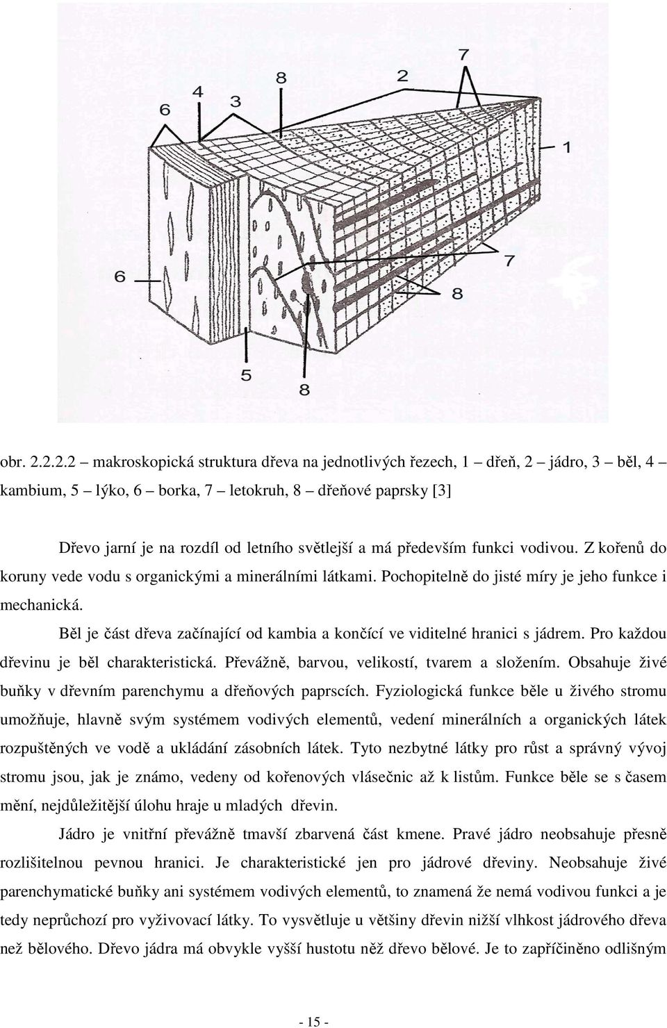 především funkci vodivou. Z kořenů do koruny vede vodu s organickými a minerálními látkami. Pochopitelně do jisté míry je jeho funkce i mechanická.