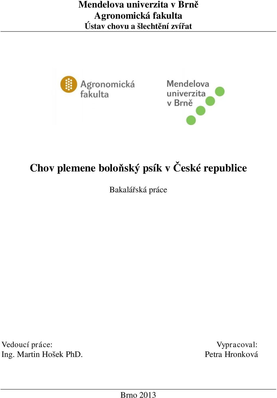 České republice Bakalářská práce Vedoucí práce: Ing.