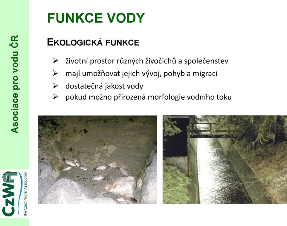 jejich vývoj, pohyb a migraci dostatečná jakost