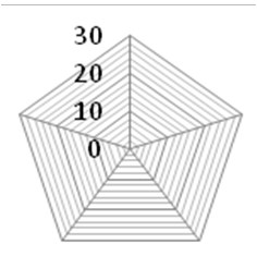 Figure 1 Evaluation of knowledge management through spider chart Source: Own processing.