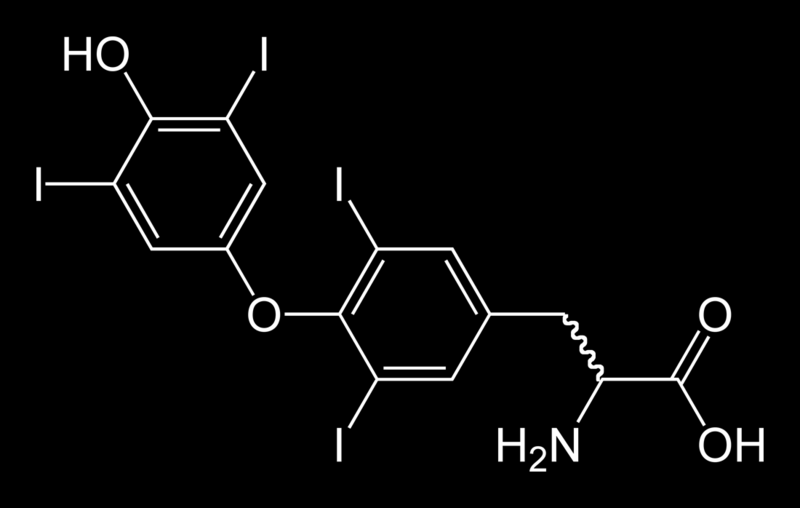 Struktura hormonu tyroxinu vylučovaného štítnou žlázou: