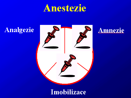 Vedení anestezie doplňovaná anestezie základem obv. inhalační anestezie hypnotický úč.