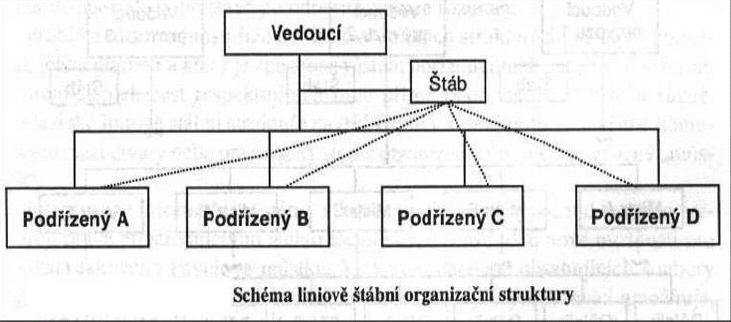 ORGANIZOVÁNÍ