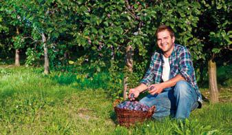 Česká produkce = základ úspěchu asfgtf Michal Adam, člen družstva EB Fruit 27% nakupovaného ročního objemu je v české produkci (obrat cca 890 mil. Kč).