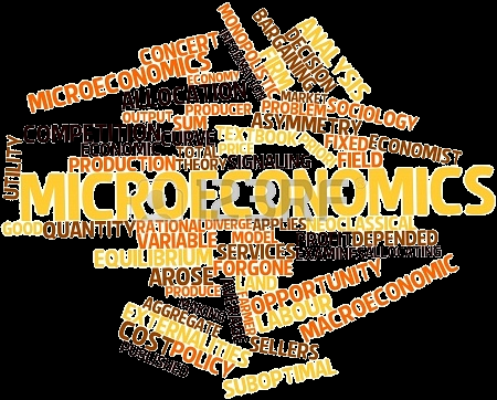 Představení předmětu Mikroekonomie I Základní předmět, na kterém stojí celá ekonomická teorie a příbuzné obory: chování jednotlivců chování firem fungování dílčích