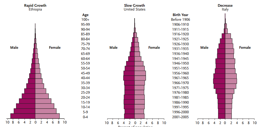 Demografie Věková pyramida Joe McFalls