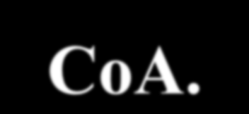 Tvorba acyl-coa Aby MK mohly prostoupit mitochondriální membránou, musí být připojeny k CoA = = acyl-coa.