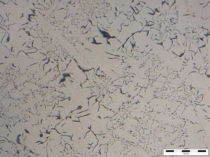 43: Struktura zvětšeného výřezu, leptáno Nital, 100x Na (Obr. 43.), který je pořízen z okraje přechodové části. Jsou patrné opět dendrity základní kovové hmoty.