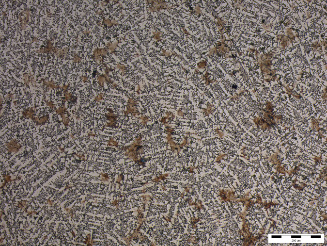 Podle ISO 945-1:2008(E) tato struktura odpovídá kategorii (formou I/ strukturou B/ velikostí 5). Neidentifikované černé útvary jsou póry. Na (Obr. 47.), který je pořízen z okrajové stěny vzorku (Obr.