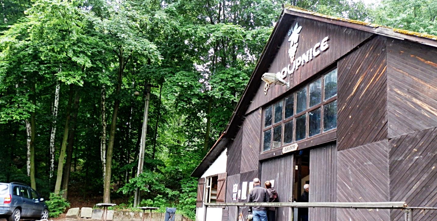 ODBOR VŠESTRANNOSTI - NÁČELNICTVO Tělocvičná jednota Sokol Radčice byla pořadatelem VII.