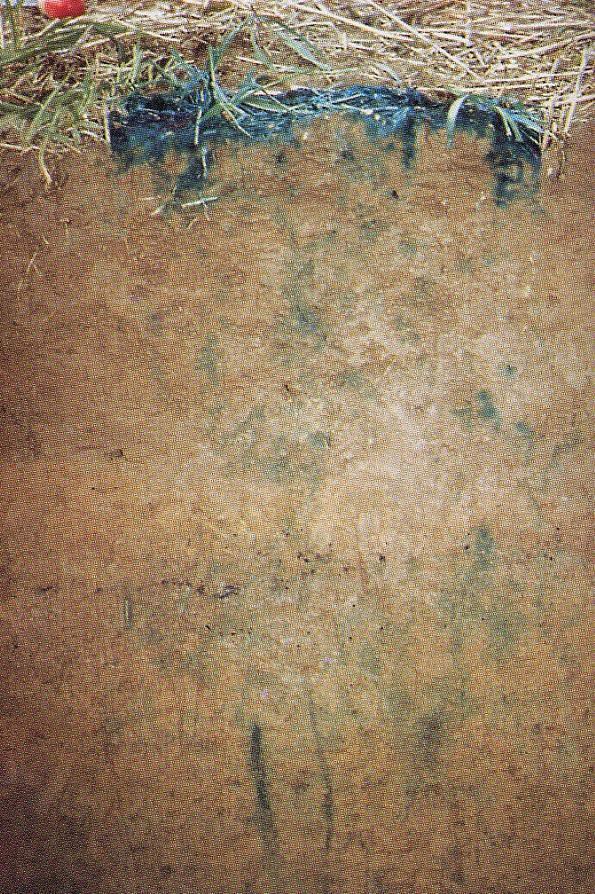 25-35 cm